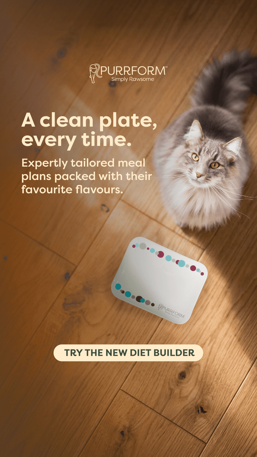 Purrform — D2C · Pet food